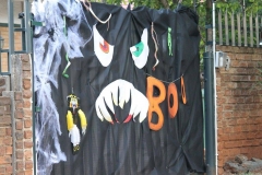 11029509_10154306135670616_6185513986918067446_o