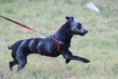 12183838_10154306134630616_4962787618420111221_o