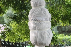 12191439_10154306136110616_2872471726333469342_n